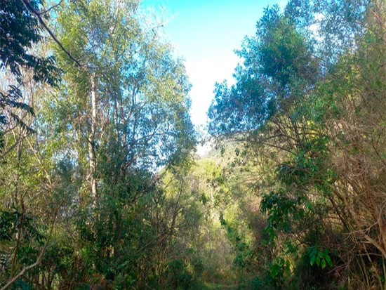 Terreno em Caxias do Sul, RS — foto 4 de 8