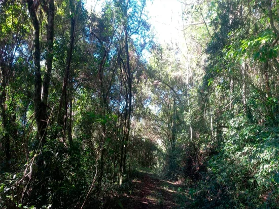 Terreno em Caxias do Sul, RS — foto 6 de 8