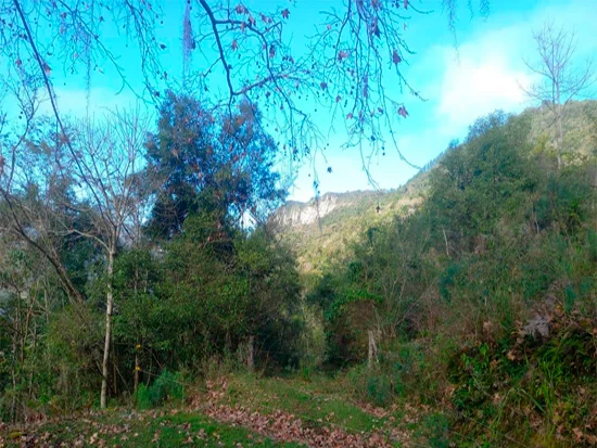 Terreno em Caxias do Sul, RS — foto 2 de 8