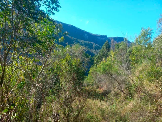 Terreno em Caxias do Sul, RS — foto 3 de 8