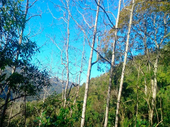 Terreno em Caxias do Sul, RS — foto 5 de 8