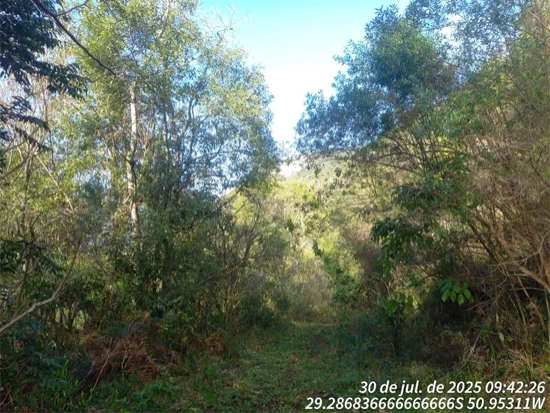 Terreno em Caxias do Sul, RS — foto 7 de 8