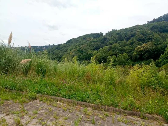Terreno em Caxias do Sul, RS — foto 2 de 8