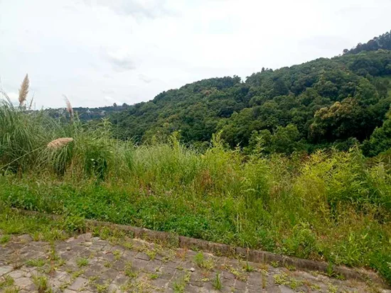 Terreno em Caxias do Sul, RS — foto 4 de 8