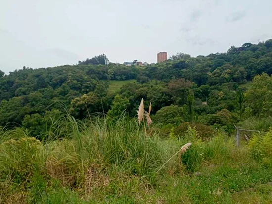 Terreno em Caxias do Sul, RS — foto 8 de 8