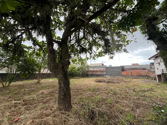 Terreno em Bombinhas, SC — foto 4 de 7