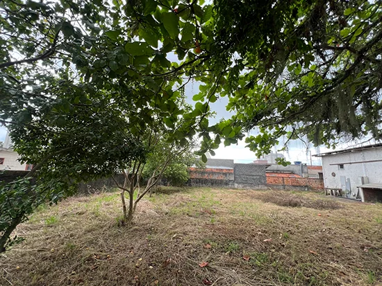 Terreno em Bombinhas, SC — foto 3 de 7