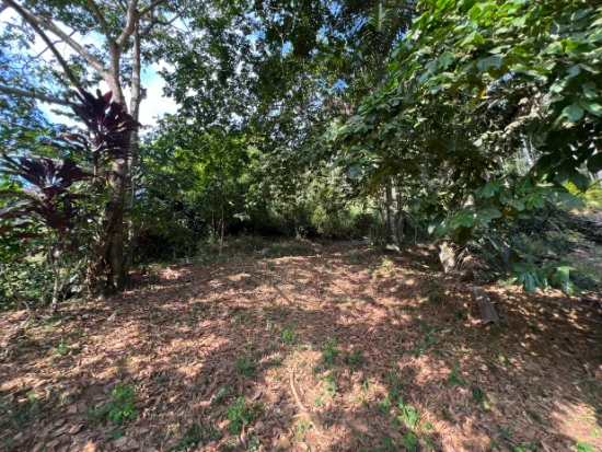 Terreno em Brusque, SC — foto 2 de 3