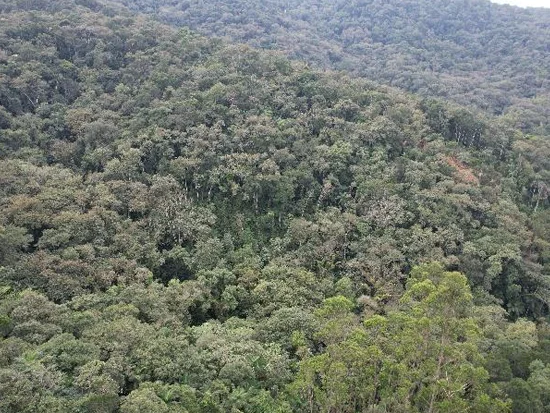 Terreno em Brusque, SC — foto 5 de 8