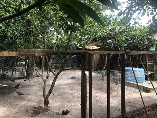 Casa em Maracaçumé, MA — foto 7 de 8