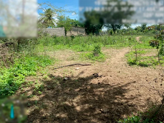 Terreno em Major Isidoro, AL — foto 4 de 6