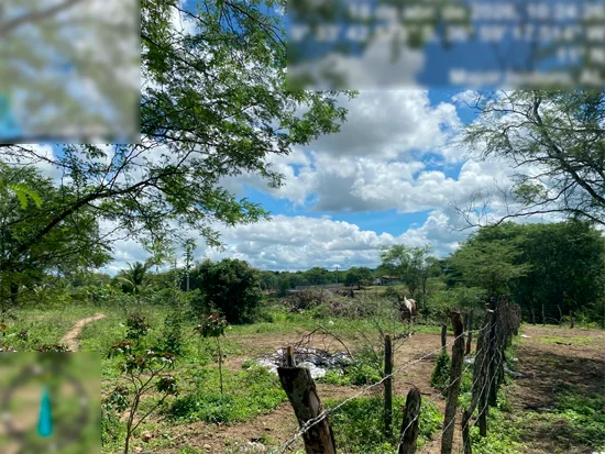 Terreno em Major Isidoro, AL — foto 3 de 6