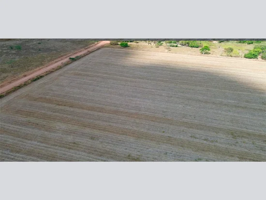 Terreno em Matupá, MT — foto 6 de 8