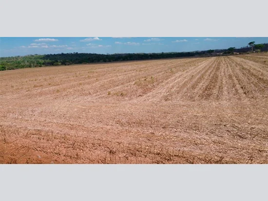 Terreno em Matupá, MT — foto 7 de 8