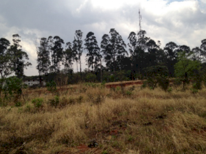Terreno em Araguari, MG