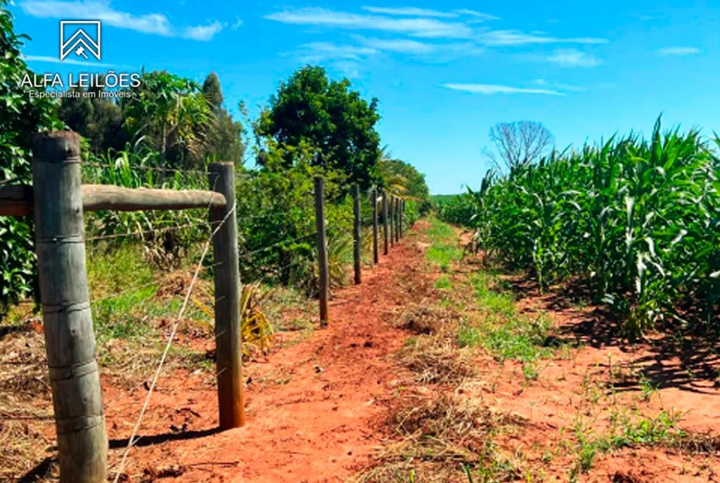 Rural, Soturninha em Arealva, SP — foto 8 de 8