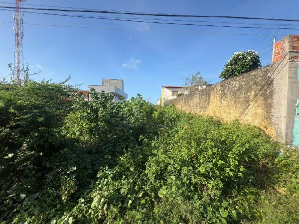 Terreno, Parque Pindorama, São Luís, MA