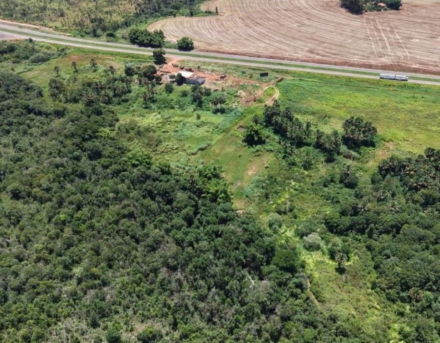 Rural, Ab&oacute;boras em Rio Verde, GO — foto 6 de 8