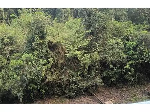 Terreno em Galópolis, Caxias do Sul RS