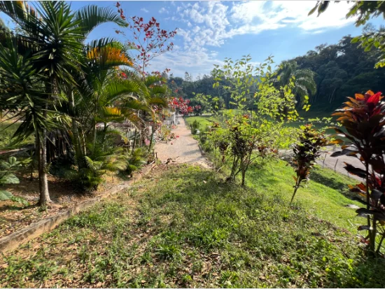 Terreno - Brusque - SC