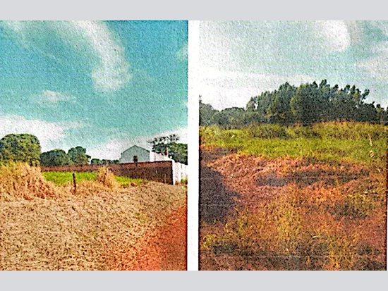 Terreno - Passos - MG