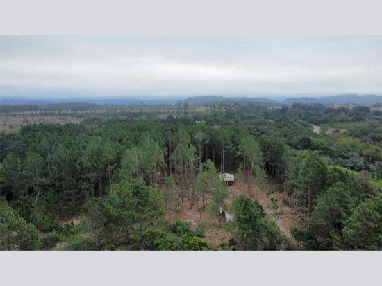 Terreno - Torres - RS
