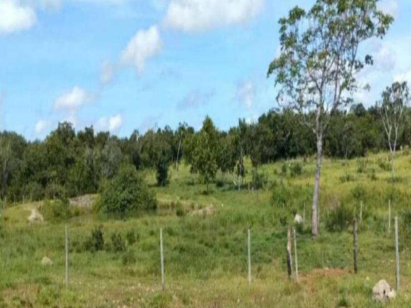 Fazenda, 96.83 ha, Araguaçu / TO