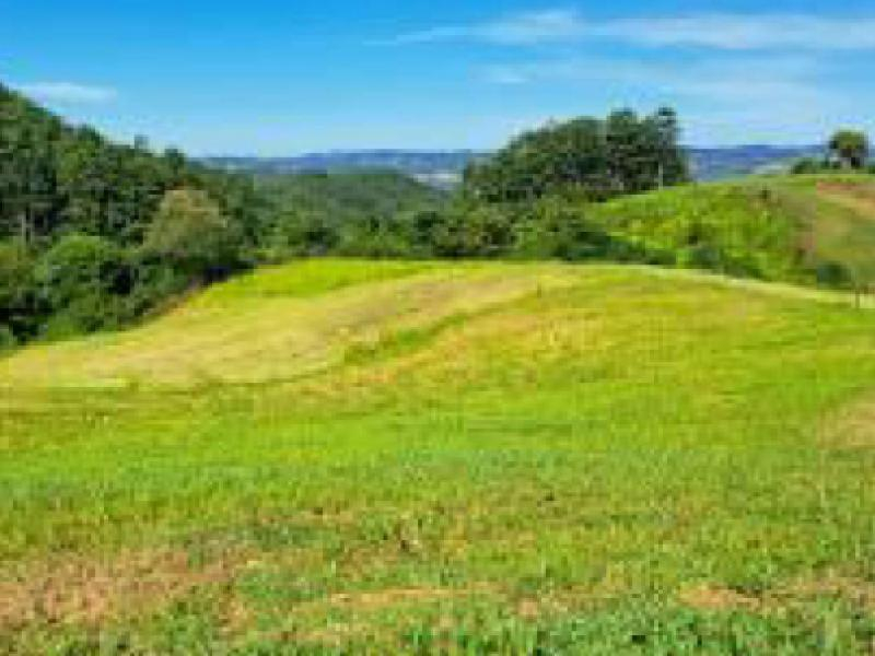 Fazenda, 4.84 ha, União do Oeste / SC