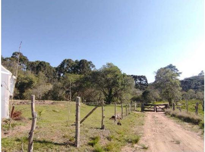 Área rural, situada no lugar denominado Felpudo, em Campo Largo/PR - Massa Falida de Sinoda Construções